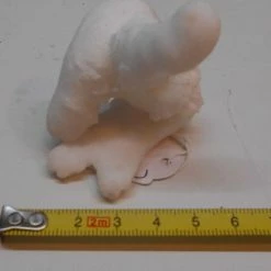 Vendora ΑΡΑΓΩΝΙΤΗΣ