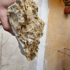 Vendora Μοναδικοί παλαιοντολογικοί λίθοι 250 εκατομμυρίων ετών με απολιθώματα κοχυλιών -vendora shop 06de67ec442d4dc13cbfc74893e3273b21b76462 xl