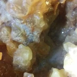 Vendora Ασβεστίτης βοτρυοειδής -vendora shop 07dd152319db2195f6c0cab5fb14dcbf4bd55735 xl