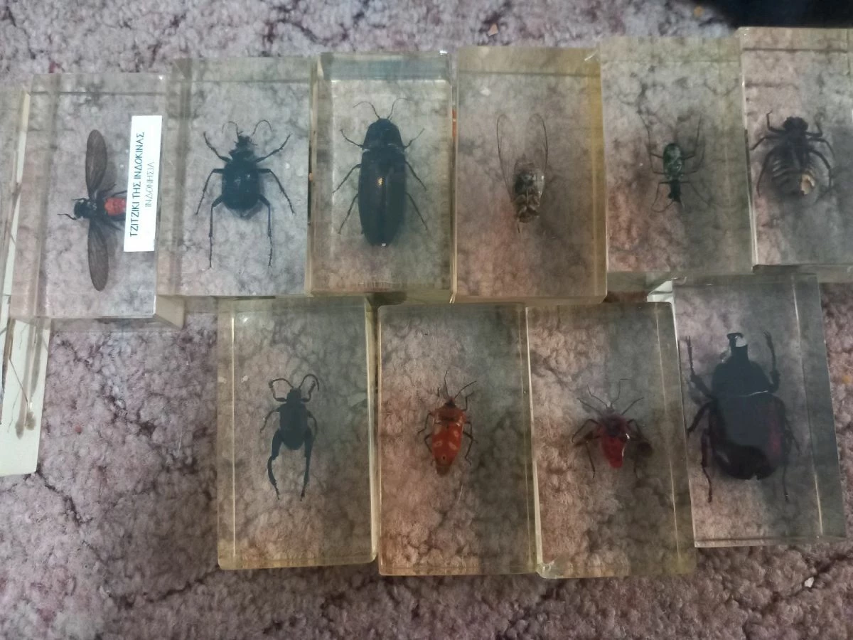 Vendora Silogi Apo Endoma Apo Olos Tis Xores Tou Kosmou 4 Vendora Silogi Apo Endoma Apo Olos Tis Xores Tou Kosmou - Image 2