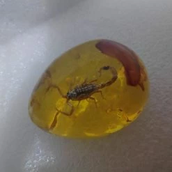 Vendora Σκορπιος Μεσα σε Απομιμηση Κεχριμπαριου -vendora shop 095c74a33f6c06b859eaa28f1140673cd5bf9a86 xl