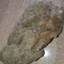 Vendora Ποιος ζει στην θάλασσα σε ανανά; -vendora shop 0b45d58a6f3a3d42413b8866b3a630a0fc6ef78f xl