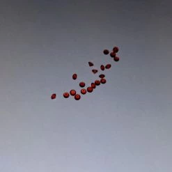 Vendora Garnet ημιπολυτιμοι λιθοι 18 Vendora Garnet ημιπολυτιμοι λιθοι -vendora shop 0bd1f2f6a812fb1306bc7c6fb57bcfdc62a23904 xl