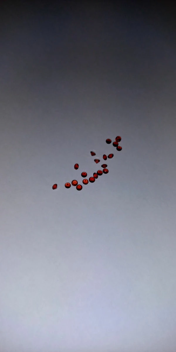 Vendora Garnet ημιπολυτιμοι λιθοι 9 Vendora Garnet ημιπολυτιμοι λιθοι - Image 7