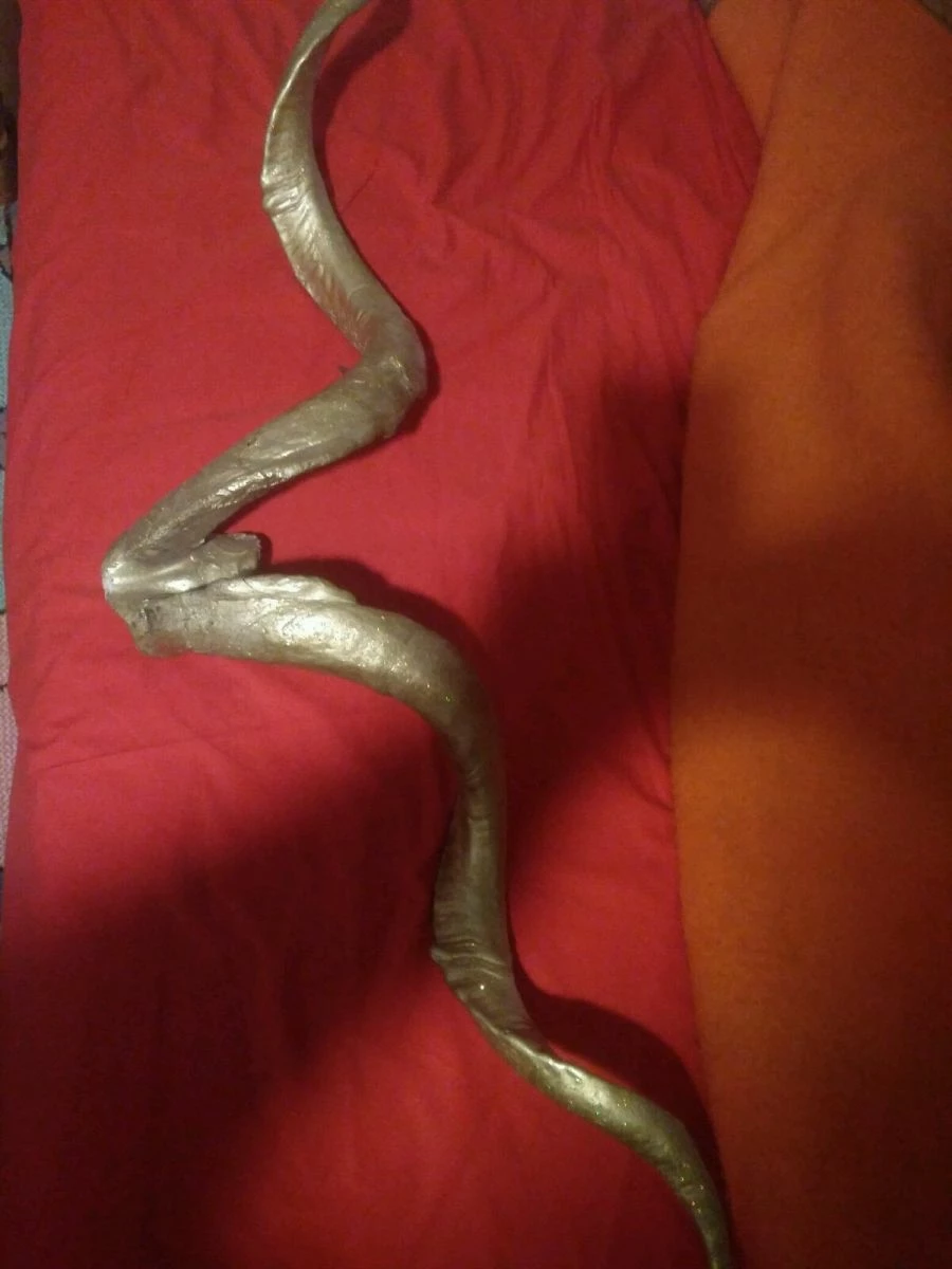 Vendora κέρατα κριαριου 3 Vendora κέρατα κριαριου