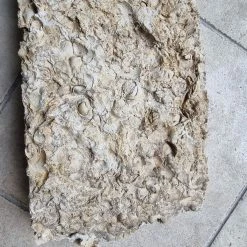 Vendora Μοναδικοί παλαιοντολογικοί λίθοι 250 εκατομμυρίων ετών με απολιθώματα κοχυλιών -vendora shop 130e4a548e8e01881486a160c7d31afa397869b5 xl