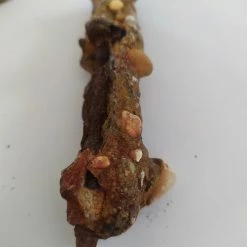 Vendora Διάφορα πετρωματα -vendora shop 175a4e29c8cf39da291da3efaa92572c88ac0fc2 xl