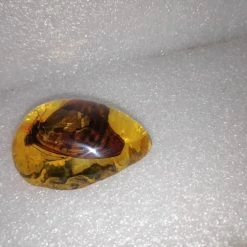 Vendora Πεταλουδα Σε Απομιμηση Κεχριμπαριου -vendora shop 180a211870035e99075e1dd23e717565626ba3b8 xl