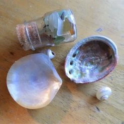 Vendora κοχυλια και διακοσμητικα θαλασσινα 15 Vendora κοχυλια και διακοσμητικα θαλασσινα -vendora shop 1b6db31fcefa585686ef8ffd7e0d70c0ddec3f19 xl