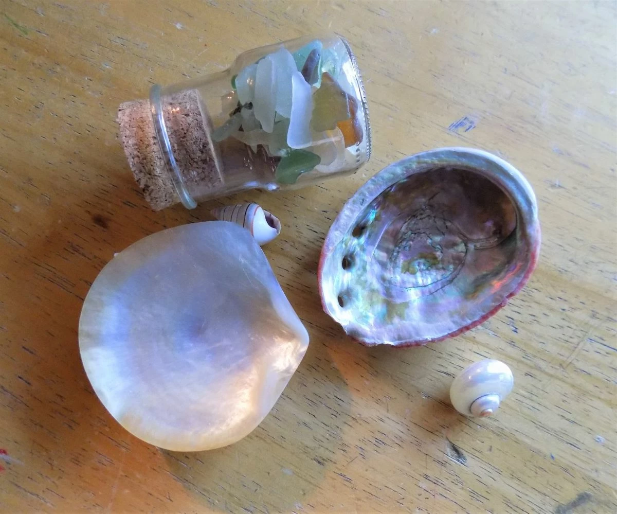 Vendora κοχυλια και διακοσμητικα θαλασσινα 9 Vendora κοχυλια και διακοσμητικα θαλασσινα - Image 7