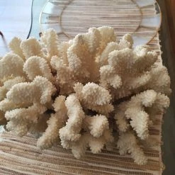 Vendora Μεγαλο φυσικο κοραλλι 5.1kg -vendora shop 1f9b835690db3278b86cfc864280a58f00e1c6b2 xl