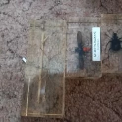 Vendora Silogi Apo Endoma Apo Olos Tis Xores Tou Kosmou 7 Vendora Silogi Apo Endoma Apo Olos Tis Xores Tou Kosmou -vendora shop 1fbbbbb33a67a3c037d27368c398915fc7a2caa1 xl