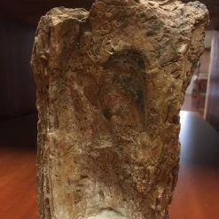 Vendora Προιστορικός Οστεόλιθος