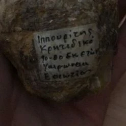 Vendora Ιππουριτης -vendora shop 22233dc6d98522fe282c1f641e9497418b44179c xl