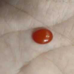 Vendora ΠΩΛΕΙΤΕ ΑΠΟ ΣΥΛΛΕΚΤΗ ΟΡΥΚΤΩΝ ΠΟΛΥΤΙΜΩΝ ΛΙΘΩΝ ΕΝΑ ΜΟΝΑΔΙΚΟ SPLENDID OVAL FIRE OPAL ΑΙΘΙΟΠΙΑΣ 2,16 CT -vendora shop 249382e3c6502ededc5536cba1daf33a3da6778a xl
