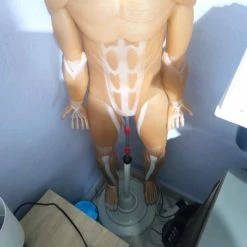 Vendora ανθρώπινο σώμα με όλα τα τεύχη -vendora shop 2577da8834513f85f0acc6af035d8d207081be3e xl