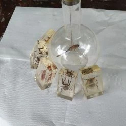 Vendora ΕΠΙΤΡΑΠΈΖΙΑ ΔΙΑΚΟΣΜΗΤΙΚΆ ΜΕ ΑΡΘΡΟΠΟΔΑ ΠΕΡΙΚΛΥΟΜΕΝΑ ΜΕ ΓΥΑΛΊ (ΠΑΚΈΤΟ 6 ΤΕΜΑΧΙΑ) -vendora shop 26a44308492dfacc218cae011e6781ecb0c1cadd xl