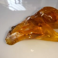 Vendora ΝΕΑ ΠΑΡΑΛΑΒΉ. ROCK WITH INSECTS, ΑΠΟ ΚΕΧΡΙΜΠΆΡΙ ΒΑΛΤΙΚΗΣ. ΕΚΑΤΟΜΜΥΡΙΩΝ ΕΤΩΝ. UV TESTED. 51,48 GR. -vendora shop 284e2a13fc22bdeb10663d943d3f071a237283a4 xl