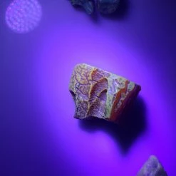 Vendora ΝΕΑ ΠΑΡΑΛΑΒΉ. ΛΙΘΟΣ ΑΠΟ ΚΕΧΡΙΜΠΆΡΙ ΒΑΛΤΙΚΗΣ 43 ΓΡΑΜΜΑΡΊΩΝ, ΑΚΑΤΈΡΓΑΣΤΟΣ. UV TASTED. 30-50 EΚ. ΕΤΩΝ. -vendora shop 288380cb09ea5df213f7863dfb44ca36bce30116 xl