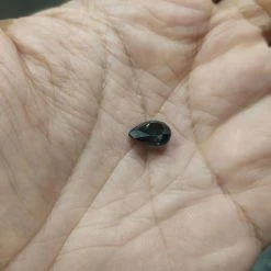 Vendora πωλειτε απο συλλεκτη ορυκτων λιυων, ΜΟΝΑΔΙΚΗ...ΜΟΝΑΔΙΚΗ τουρμαλινη σκουρα πρασινη ορυκτη χωρις καμια θεραπεια 5,2 Ct με το πιστοποιητικο τους. -vendora shop 29f56d8afab2175c474a43294cf99643fa3d9199 xl