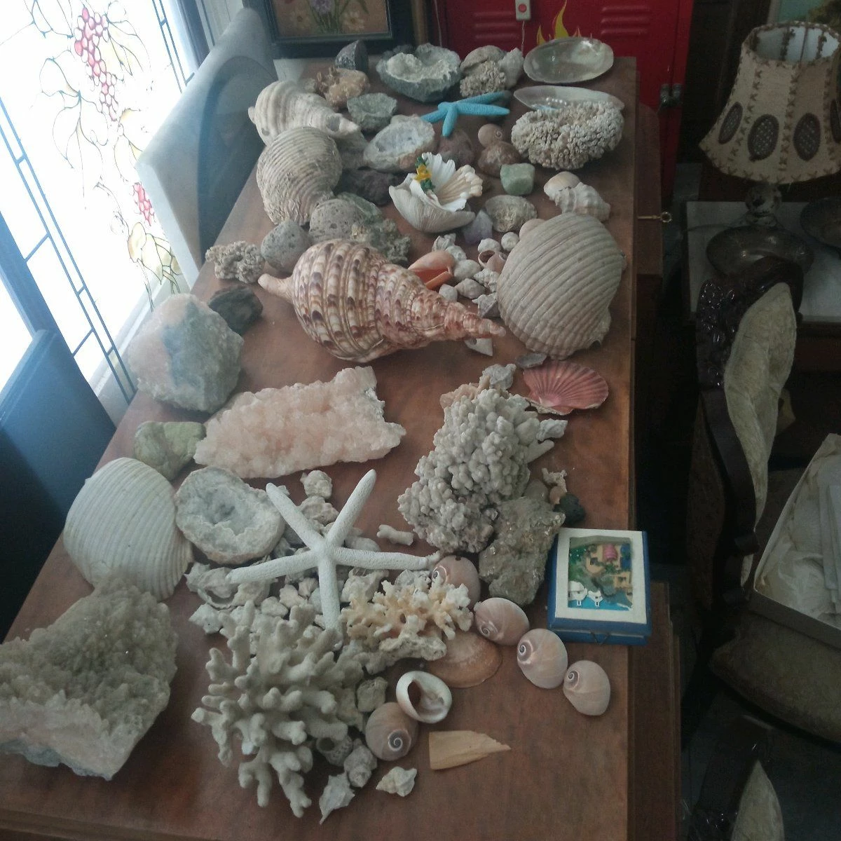 Vendora ΚΟΧΥΛΙΑ ΟΣΤΡΑΚΑ. ΠΕΤΡΩΜΑΤΑ η τιμή είναι για ολα 13 Vendora ΚΟΧΥΛΙΑ ΟΣΤΡΑΚΑ. ΠΕΤΡΩΜΑΤΑ η τιμή είναι για ολα - Image 11