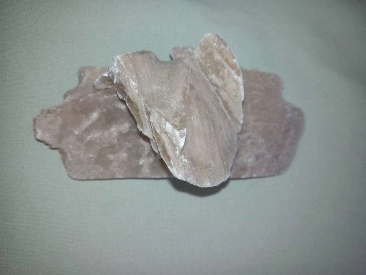 Vendora Ρόδο της ερήμου #1 5 Vendora Ρόδο της ερήμου #1 - Image 3