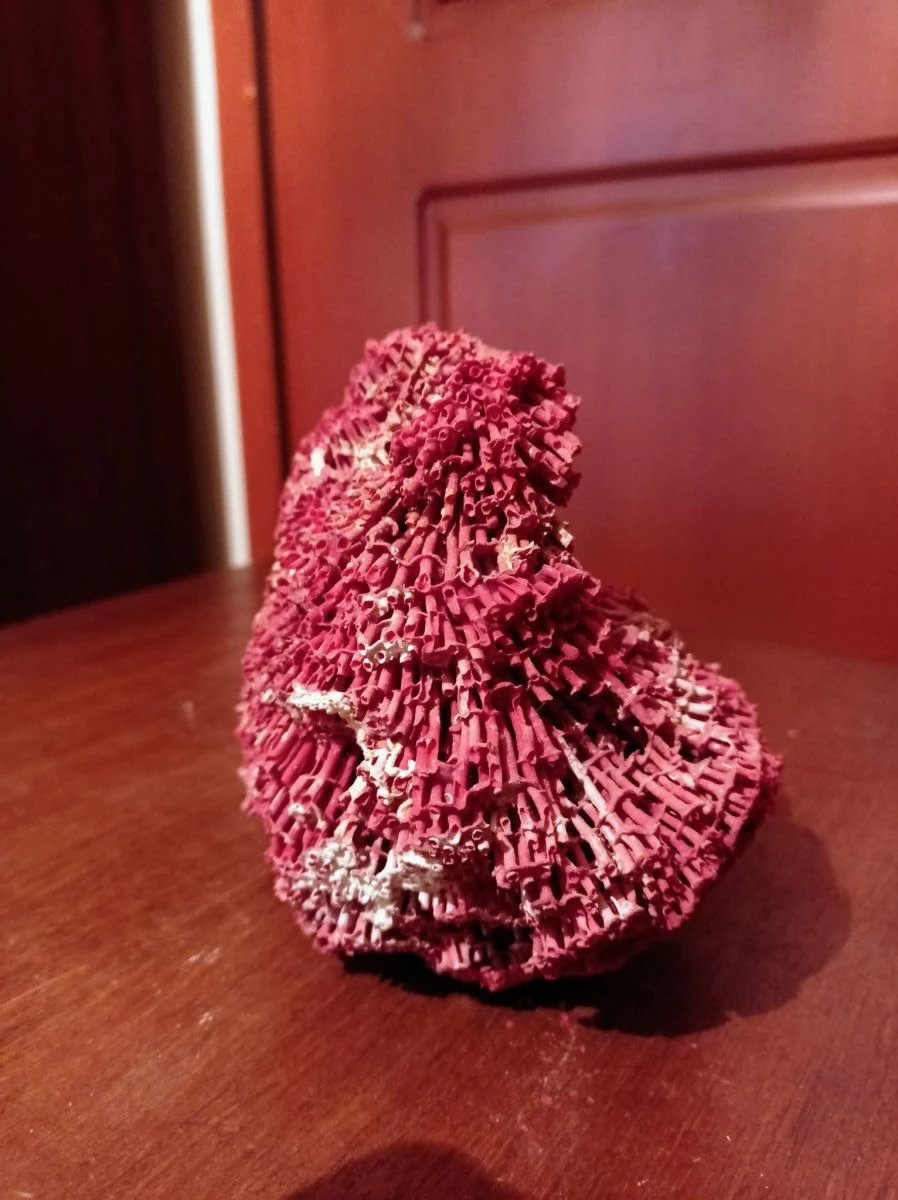 Vendora ΛΙΘΟΣ ΟΡΥΚΤΟ ΕΡΥΘΡΟΧΡΟΥΣ ΚΟΡΑΛΟΕΙΔΗΣ ΒΑΡΟΥΣ 243 ΓΡΑΜΑΡΙΩΝ 4 Vendora ΛΙΘΟΣ ΟΡΥΚΤΟ ΕΡΥΘΡΟΧΡΟΥΣ ΚΟΡΑΛΟΕΙΔΗΣ ΒΑΡΟΥΣ 243 ΓΡΑΜΑΡΙΩΝ - Image 2