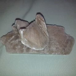 Vendora Ρόδο της ερήμου #1