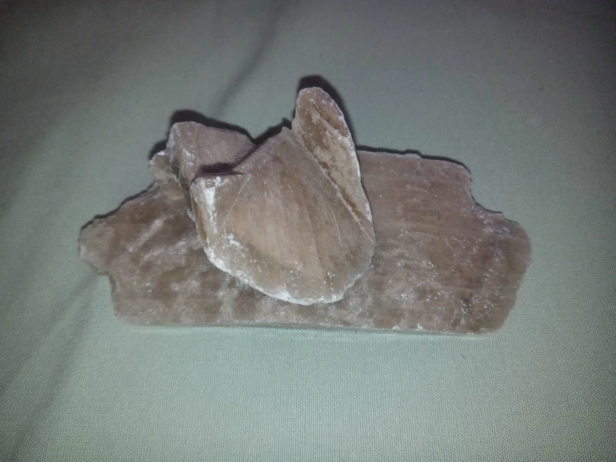 Vendora Ρόδο της ερήμου #1 3 Vendora Ρόδο της ερήμου #1