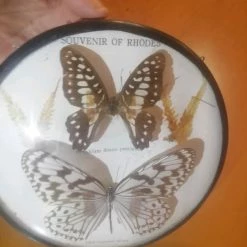 Vendora Σπάνια συλλεκτική κορνίζα με πεταλούδες από την διάσημη κοιλάδα με τις πεταλούδες της Ρόδου
