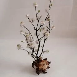 Vendora ΚΟΧΥΛΙΑ Handmade Creation Decor Of Natural Sea Shells Aprox 22cm 10 Vendora ΚΟΧΥΛΙΑ Handmade Creation Decor Of Natural Sea Shells Aprox 22cm -vendora shop 317abdc500fc403fcd37c1473c1dfe1c5ef5d2cd xl