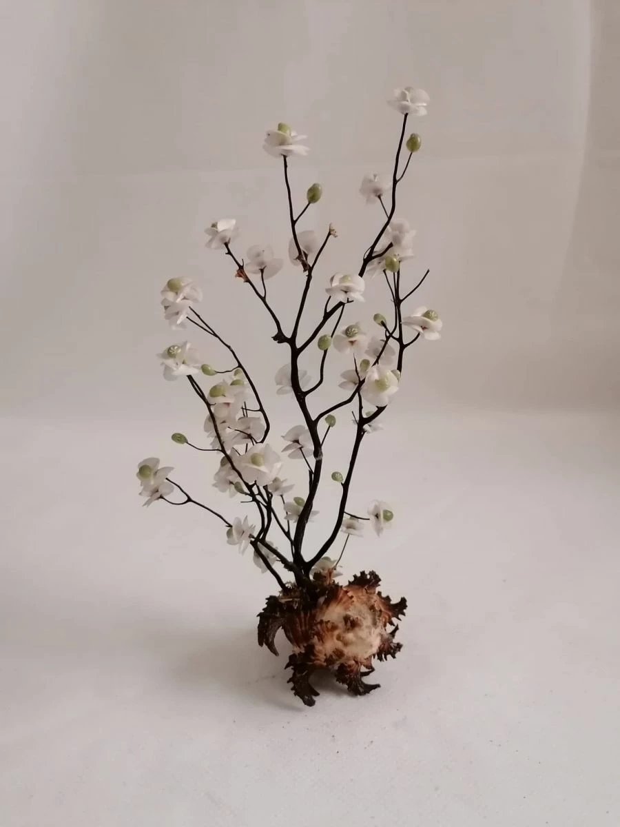 Vendora ΚΟΧΥΛΙΑ Handmade Creation Decor Of Natural Sea Shells Aprox 22cm 5 Vendora ΚΟΧΥΛΙΑ Handmade Creation Decor Of Natural Sea Shells Aprox 22cm - Image 3