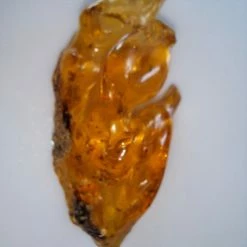 Vendora ΝΕΑ ΠΑΡΑΛΑΒΉ. ROCK WITH INSECTS, ΑΠΟ ΚΕΧΡΙΜΠΆΡΙ ΒΑΛΤΙΚΗΣ. ΕΚΑΤΟΜΜΥΡΙΩΝ ΕΤΩΝ. UV TESTED. 51,48 GR. -vendora shop 31eabec58bdb952b9131d89c72eec9cd47427d8c xl