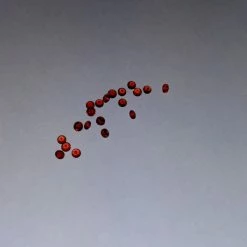 Vendora Garnet ημιπολυτιμοι λιθοι 17 Vendora Garnet ημιπολυτιμοι λιθοι -vendora shop 32e30d91995665bb4925a6d60c370e77facf2d48 xl