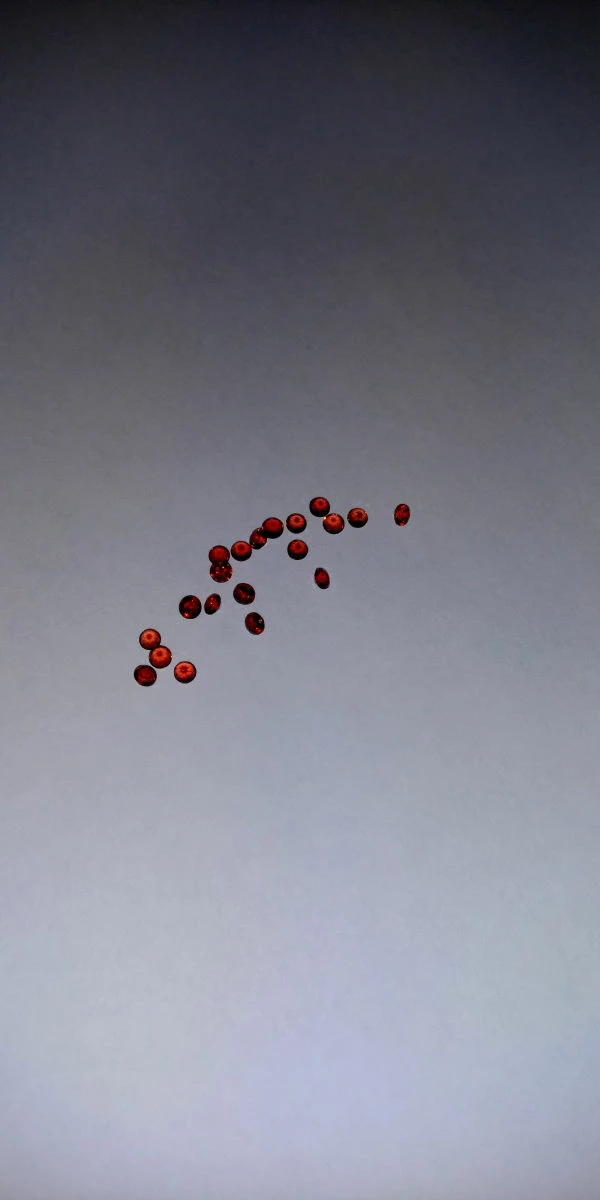 Vendora Garnet ημιπολυτιμοι λιθοι 8 Vendora Garnet ημιπολυτιμοι λιθοι - Image 6