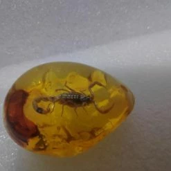 Vendora Σκορπιος Μεσα σε Απομιμηση Κεχριμπαριου -vendora shop 33cc120f2059419420beddf24620be088937de65 xl