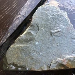 Vendora Πέτρωμα -vendora shop 34855577c9b9bbf4f7749f31c5d34d4097ef386c xl