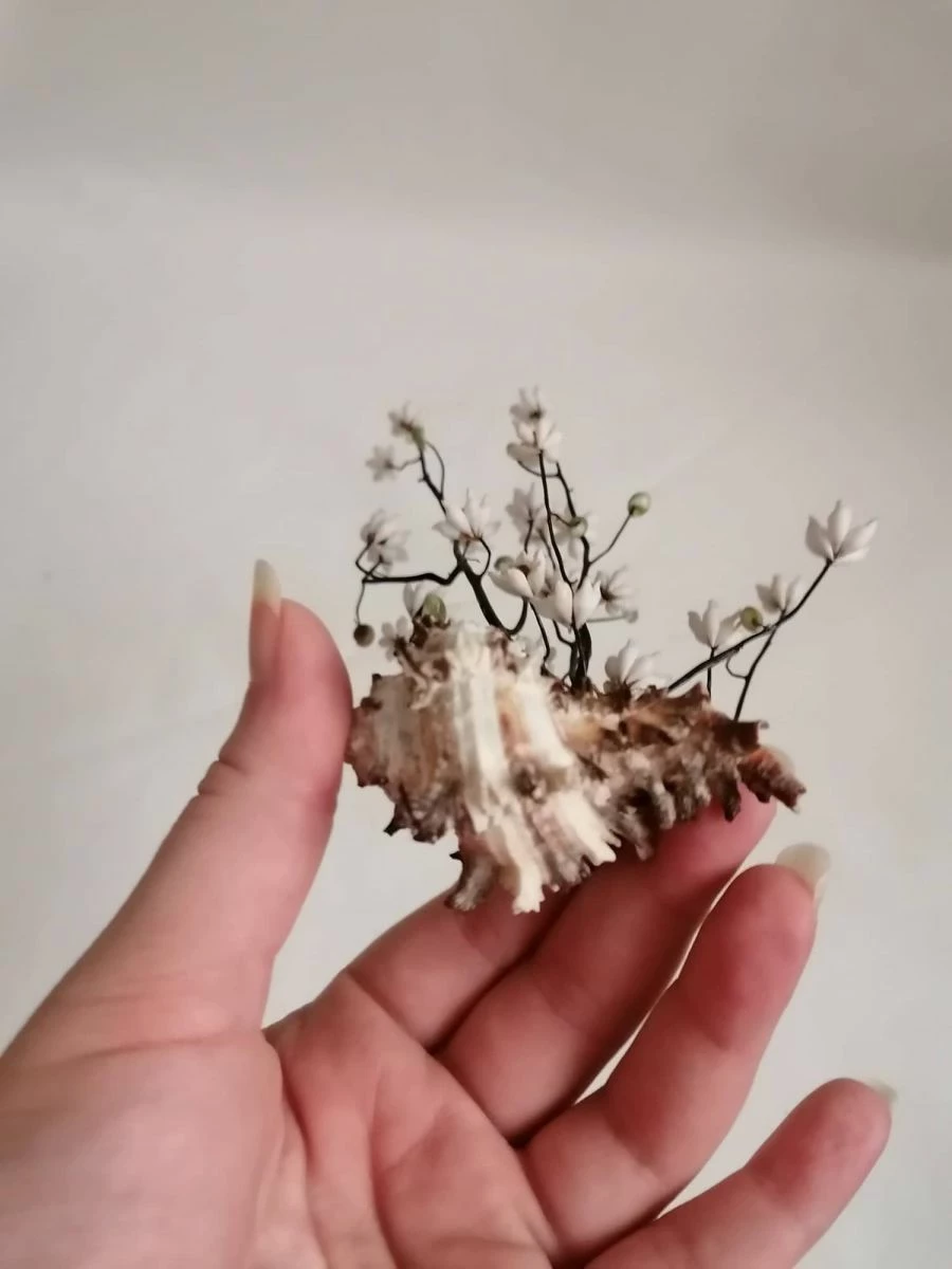 Vendora ΚΟΧΥΛΙΑ Handmade Creation Decor Of Natural Sea Shells Aprox 22cm 4 Vendora ΚΟΧΥΛΙΑ Handmade Creation Decor Of Natural Sea Shells Aprox 22cm - Image 2