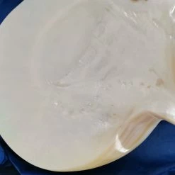 Vendora Όστρακο σε κασετίνα -vendora shop 36c2218a2dc6dacd3b59b8cbb444327261611336 xl