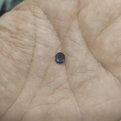 Vendora πωλειτε απο συλλεκτη ορυκτων πολυτιμων λιθων, μοναδικο σπανιο BURMA SPINEL ,0,95 CT VS καθαροτητας. -vendora shop 37254d31f22f5fee8e3eb163c7399a4ae10d4393 xl