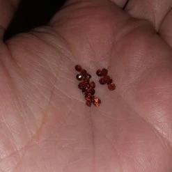Vendora Garnet ημιπολυτιμοι λιθοι 20 Vendora Garnet ημιπολυτιμοι λιθοι -vendora shop 379435dd24948cf3515f5414883e298360f044bc xl