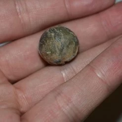 Vendora ΜΟΛΥΒΕΝΙΟ ΒΛΗΜΑ ΜΟΥΣΚΕΤΟΥ -vendora shop 38a1a3cf8bb0d2b8185ea67dd3fbd35ada95d189 xl