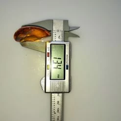 Vendora ΝΈΑ ΠΑΡΑΛΑΒΉ. ΛΙΘΟΣ ΑΠΟ ΚΕΧΡΙΜΠΆΡΙ ΒΑΛΤΙΚΗΣ, WITH INSECTS, ΚΑΤΑΛΛΗΛΟ ΓΙΑ ΜΕΝΤΑΓΙΌΝ. 10, 72 ΓΡΑΜΜΑΡΊΩΝ. -vendora shop 38f061f882b06f3c1eca7fb43d57e31a1acf411f xl