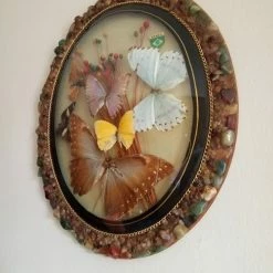 Vendora ΠΕΤΑΛΟΥΔΕΣ ΒΑΛΣΑΜΩΜΕΝΕΣ ΒΡΑΖΙΛΙΑ 1984 -vendora shop 3b79c640f9a94548e2f476c9230efc01965829bd xl