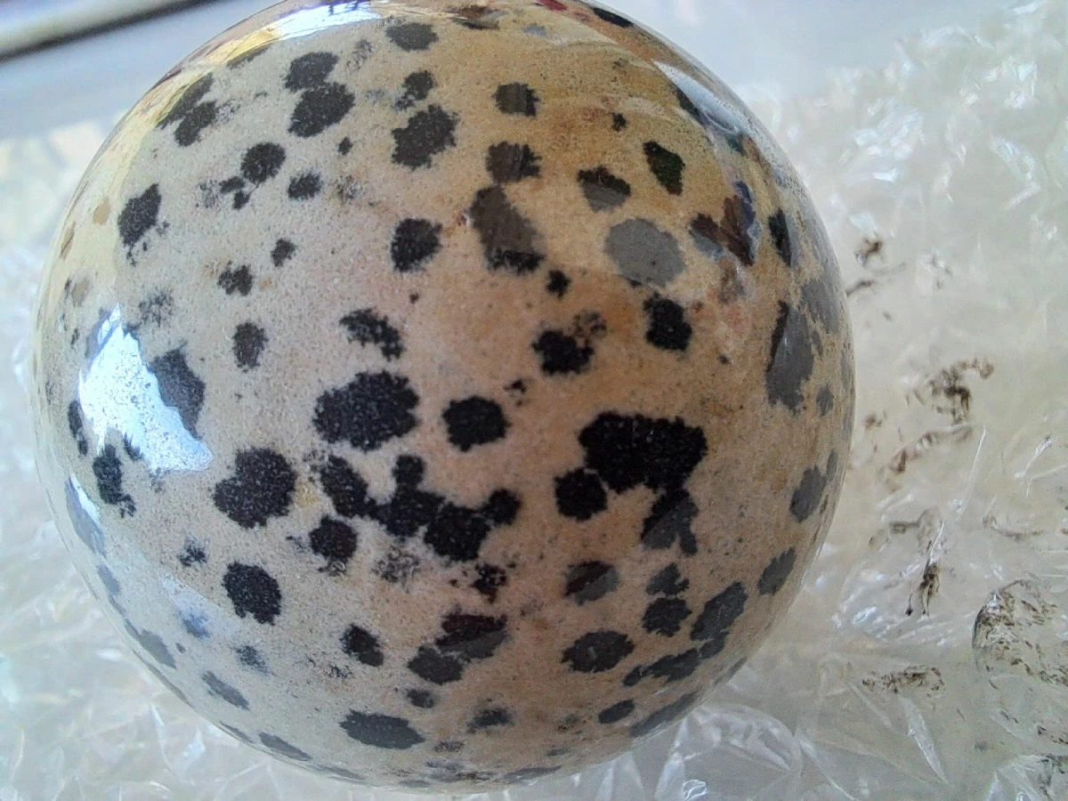 Vendora ΝΕΑ ΠΑΡΑΛΑΒΉ. DALMATIAN STONE, ΒΑΡΟΥΣ 166,75 ΓΡΑΜΜΑΡΊΩΝ, ΚΑΙ ΔΙΑΜΈΤΡΟΥ 49 ΧΙΛ. 3 Vendora ΝΕΑ ΠΑΡΑΛΑΒΉ. DALMATIAN STONE, ΒΑΡΟΥΣ 166,75 ΓΡΑΜΜΑΡΊΩΝ, ΚΑΙ ΔΙΑΜΈΤΡΟΥ 49 ΧΙΛ.