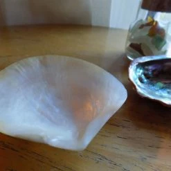 Vendora κοχυλια και διακοσμητικα θαλασσινα 11 Vendora κοχυλια και διακοσμητικα θαλασσινα -vendora shop 3c42fce558bb9095da96502c7492daccb7ccf6a2 xl