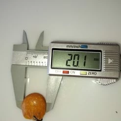 Vendora ΝΕΑ ΠΑΡΑΛΑΒΉ. ΚΕΧΡΙΜΠΆΡΙ ΚΑΤΑΛΛΗΛΟ ΓΙΑ ΜΕΝΤΑΓΙΌΝ. 4,17 ΓΡΑΜΜΑΡΊΩΝ. -vendora shop 3c63e918a1500f5e4f4f53bd2f6ef0c8ed8a4758 xl