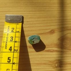 Vendora Πέτρα (Σκαραβαίος) -vendora shop 3dffef971b79c800df1da33c0774f99b627045c7 xl