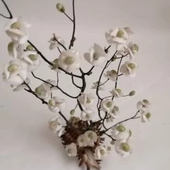 Vendora ΚΟΧΥΛΙΑ Handmade Creation Decor Of Natural Sea Shells Aprox 22cm 11 Vendora ΚΟΧΥΛΙΑ Handmade Creation Decor Of Natural Sea Shells Aprox 22cm -vendora shop 422470bae5df5bbe4a0ff4ee872a1dec627532d2 xl