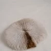 Vendora ΚΟΧΥΛΙΑ White Natural Mushroom Coral Round 8,5cm -vendora shop 426c691fb96155def091a82a5ea2bf59e9644dff xl